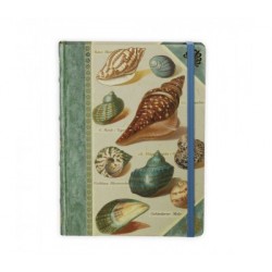 Книга для записей Shells